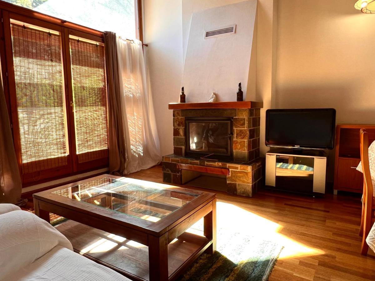 Apartament La Noguera - L'Amfitriona 里亚尔普 外观 照片